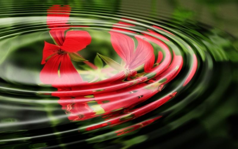 Mindfulness
