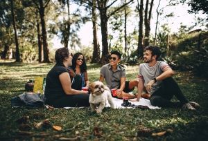 Actividades sociales para tener menos ansiedad